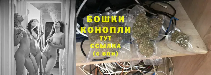 Шишки марихуана OG Kush  Барыш 